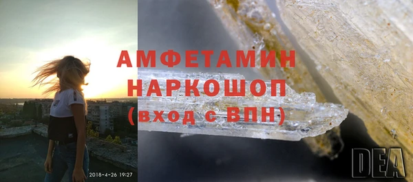 индика Богородск