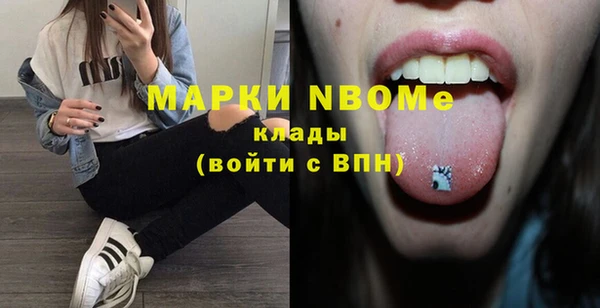 apvp Бородино