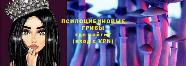 apvp Бородино