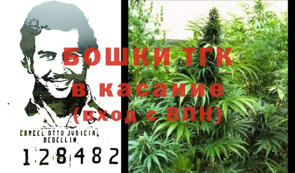 PSILOCYBIN Верея
