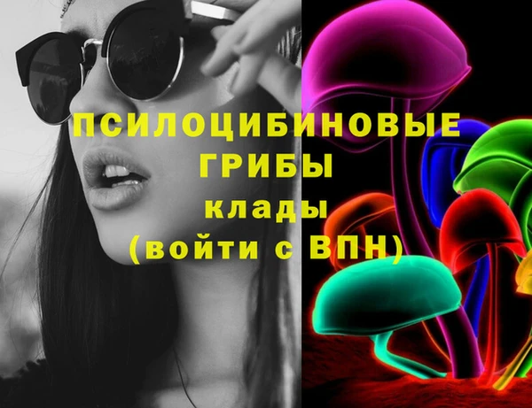 индика Богородск